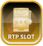 rtp slot PG133